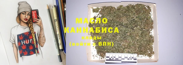 индика Нефтекумск
