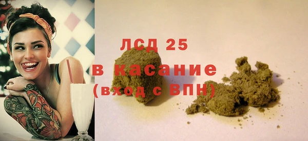 индика Нефтекумск