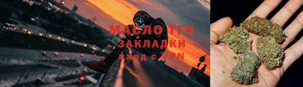 индика Нефтекумск