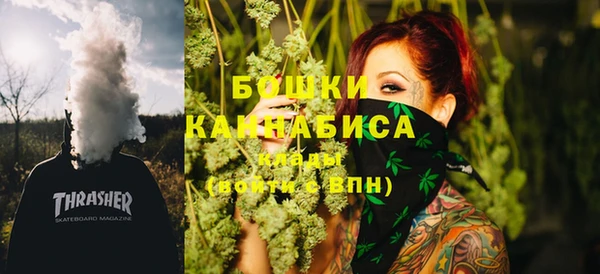 индика Нефтекумск