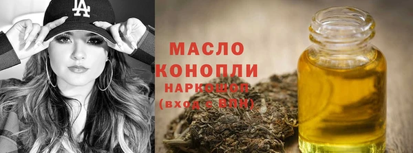 индика Нефтекумск