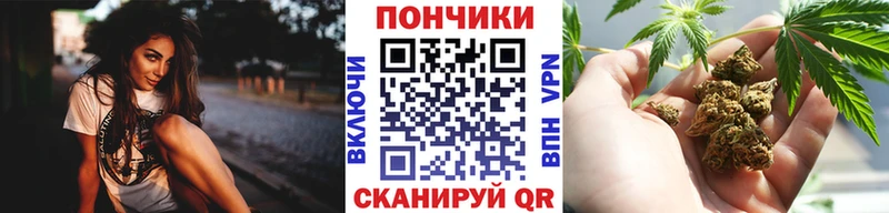 Конопля индика  где можно купить   Новое Девяткино 